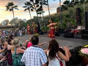 Chief's Luau Chief
